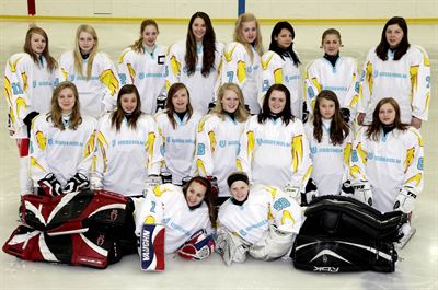 Team UDDEHOLM