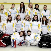 Team UDDEHOLM