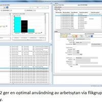 Flikgrupper i AOM 10.2