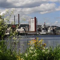 Östrand Pulp Mill