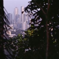 City and Nature, foto: Mattias Klum