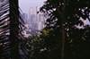 City and Nature: photo Mattias Klum