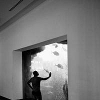 Outside, Ashkan Shafaati 