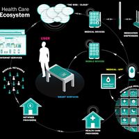 Integrated Health Care Service Ecosystem