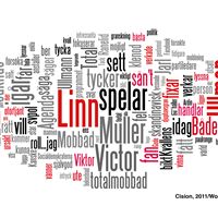 Juholt word cloud
