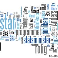Reinfeldt word cloud