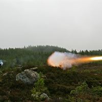 NLAW