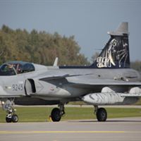 Tjeckiskt Gripen med tigermålning