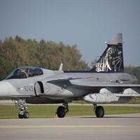 Czech Gripen during Tiger Meet 2010