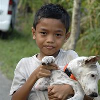 Dreng på Bali med vaccineret hund