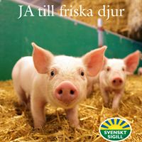 JA till friska djur