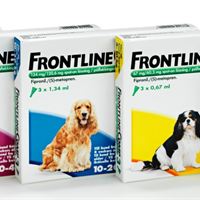 Fontline Comp