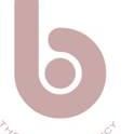 Britto Agency