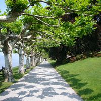 Park in Bellagio