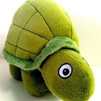 TMTURTLE2
