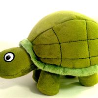 TMTURTLE1