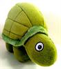 TMTURTLE2