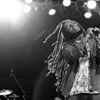 Ziggy Marley