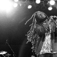 Ziggy Marley