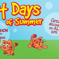 Found Animals Foundation Cat Days of Summer Adopt-A-Thon