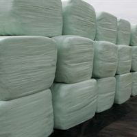 bpi silage store