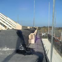 Winslow DPC trays at papapet level