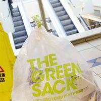 Green Sack 2