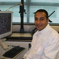 Dr Eslam Elfadly