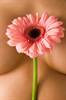 Breast Health