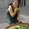 Tea Connoisseur Linda Villano