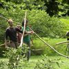 Branch Dances at Wave Hill