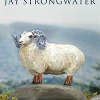 Jay Strongwater UNC Ram