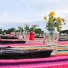 Big Bend Picnic