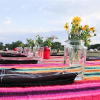 Big Bend Picnic