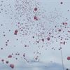American Home Shield Balloon Launch