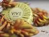 V!VE Soap