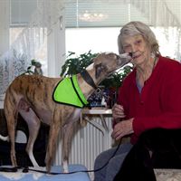 Vårdhund i Sundbyberg