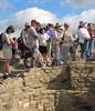 Educators at archaeological site.