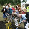 Draken Plantering