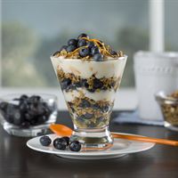 Chilean Blueberry and Orange Yogurt Parfait