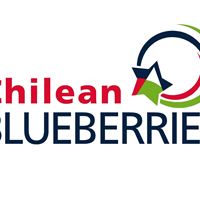 Chilean Blueberries Logo
