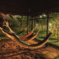 \hammock.jpg