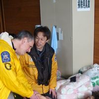 Lindeman in Japan