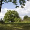 Picknickbild