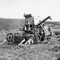 Den första självgående skördetröskan kom 1953.