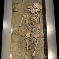 Birkaflickan på Historiska museet. Foto Oscar Kullander SHM.