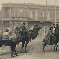 Camels in the square of Baku