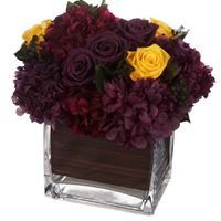 Deep Purple Elegance