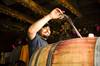 Livermore Valley Barrel Tasting Weekend