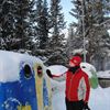 Pant-igloos